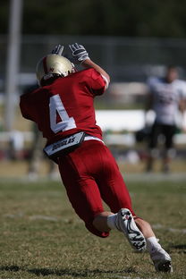 开运体育电脑版-五大联赛体能瓶颈期球队是否更偏好长传进攻，体育瓶颈期是啥意思
