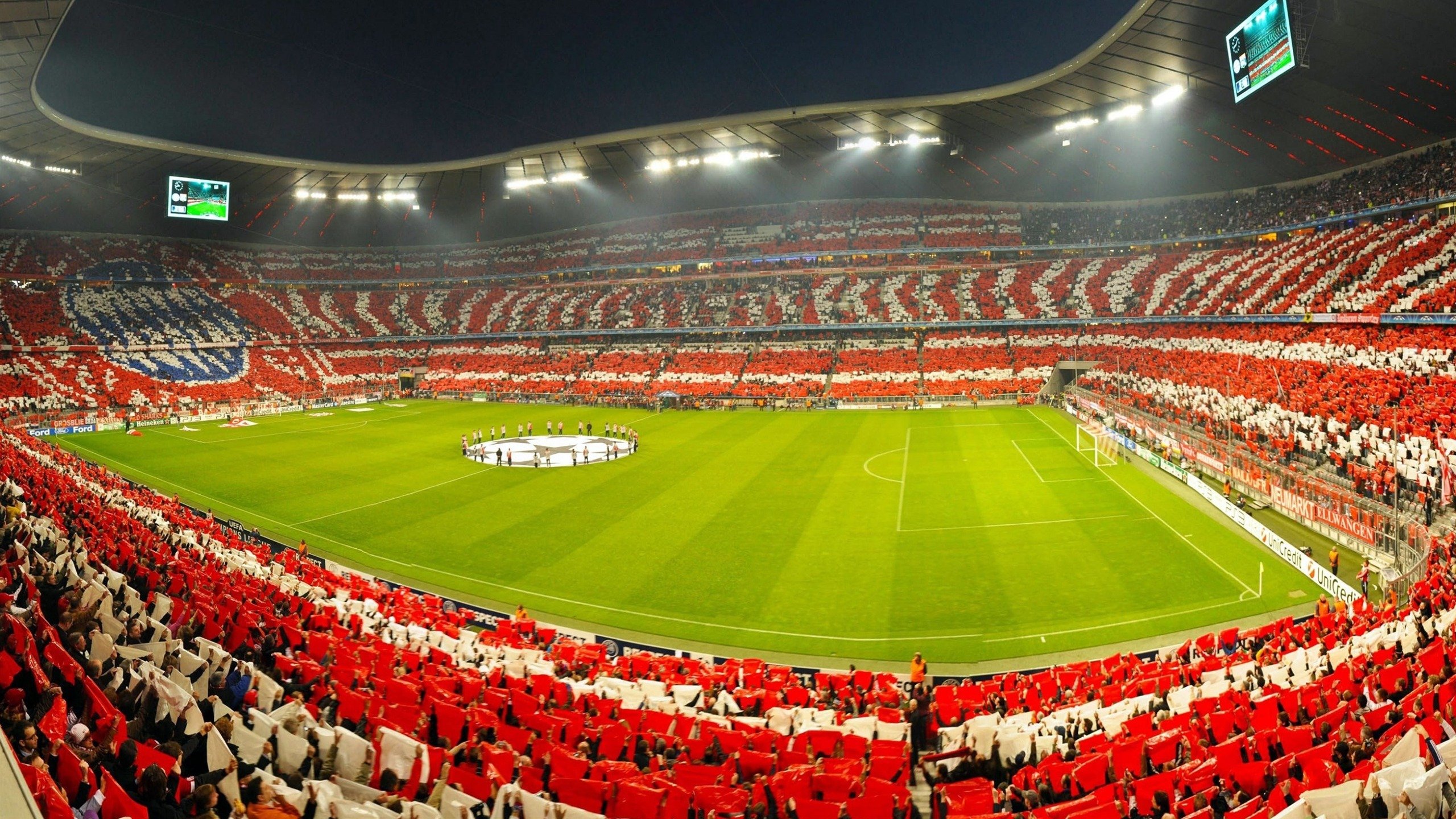 奥运备战重心转向选手恢复与心理调适