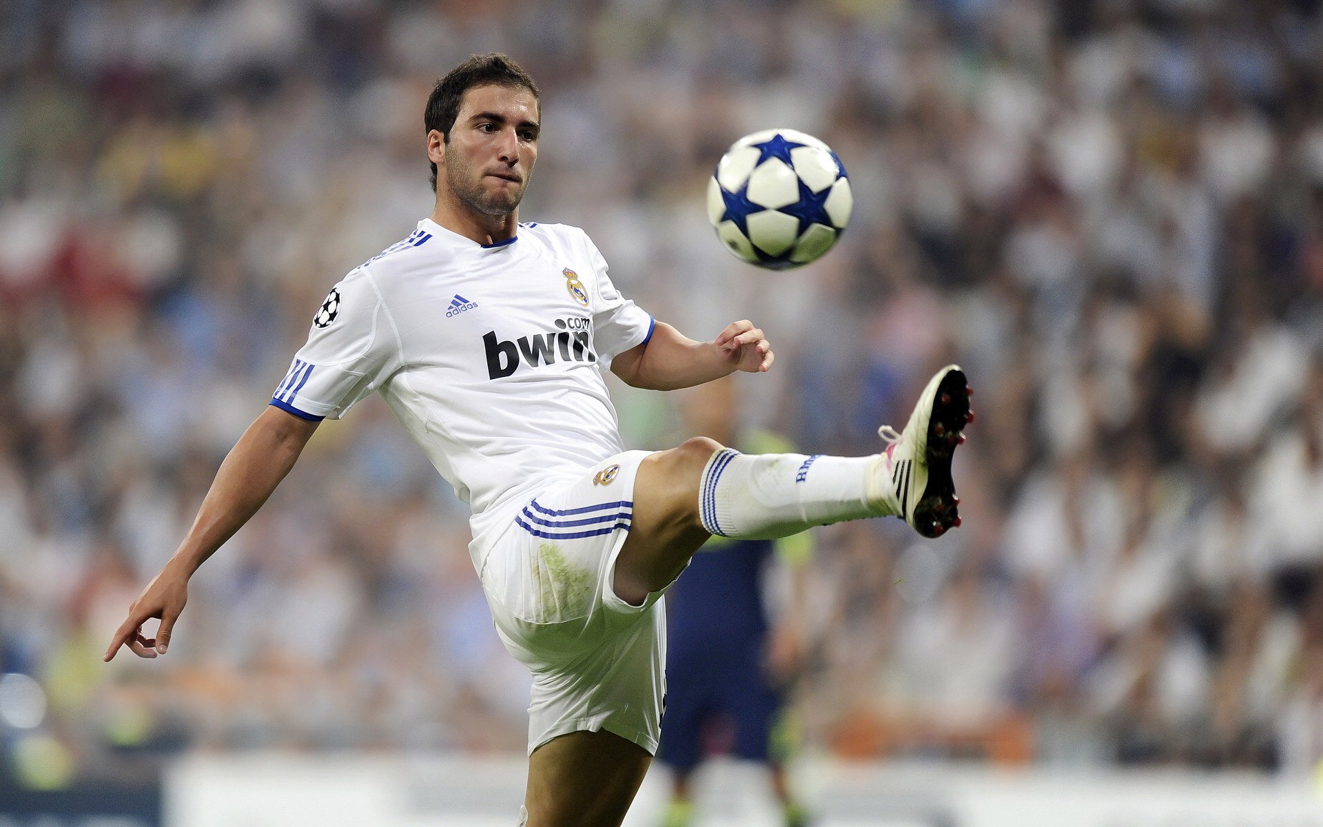 “尼古拉斯·桑特基的进攻组织与防守配合,推动美洲狮队向前迈进”