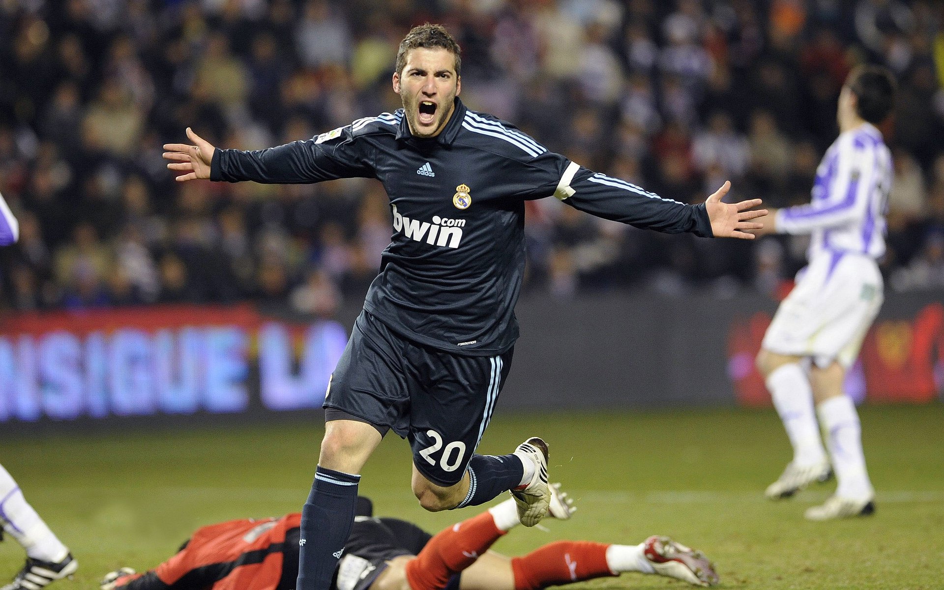 美洲杯热血沸腾:明星拼搏,精彩不断!,美洲杯现场观众